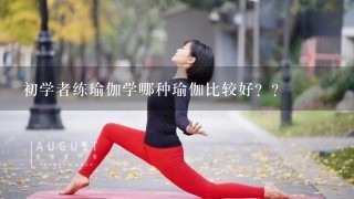 初学者练瑜伽学哪种瑜伽比较好？？