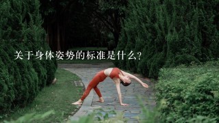 关于身体姿势的标准是什么？