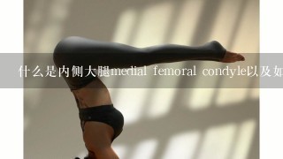 什么是内侧大腿medial