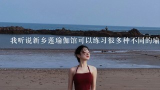 我听说新乡莲瑜伽馆可以练习很多种不同的瑜伽姿势是吗