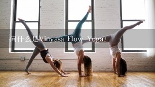 问什么是Vinyasa