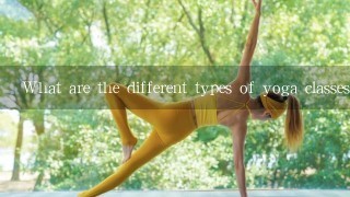 What are the different types of yoga classes?